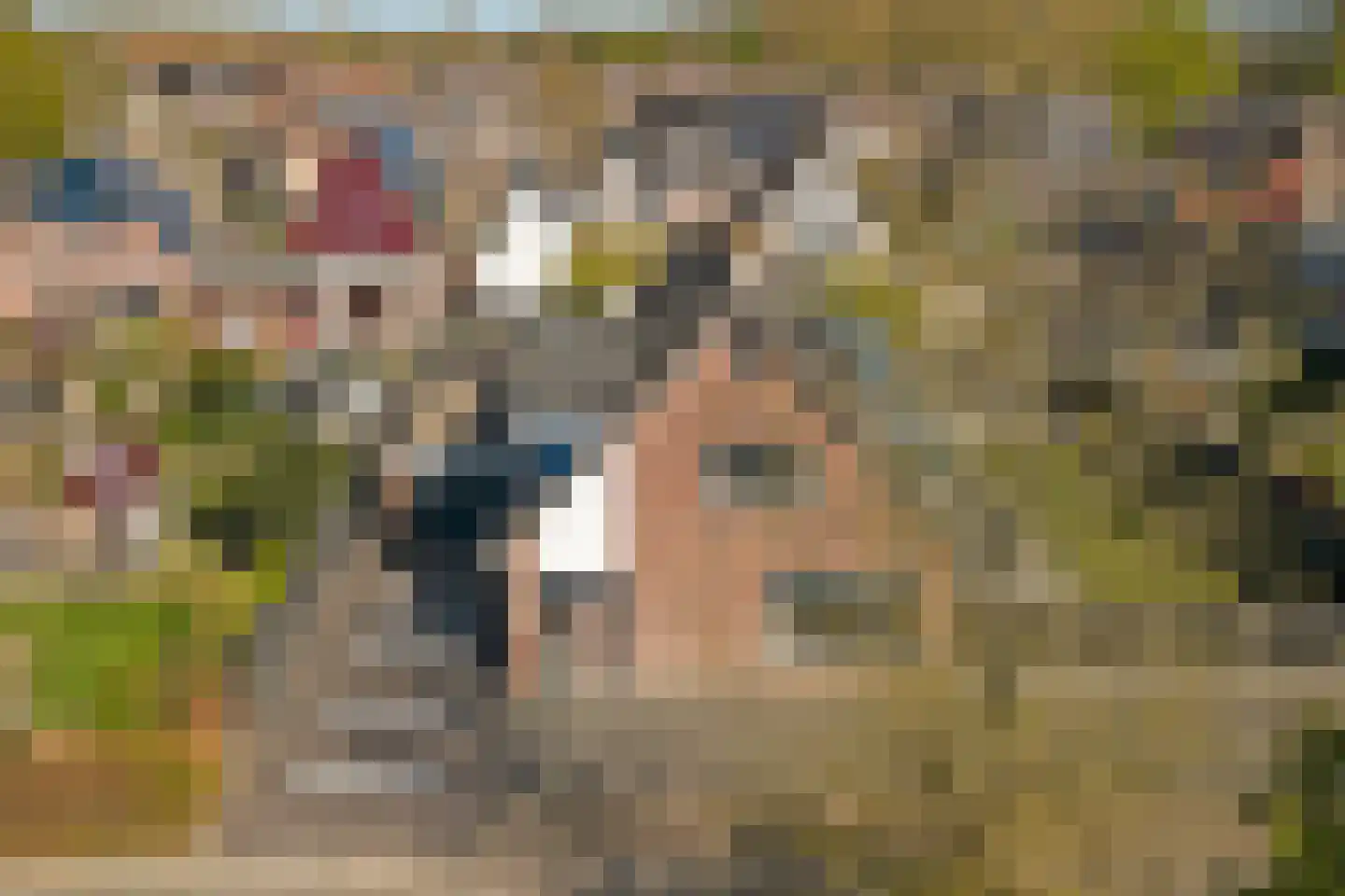 Prior 11 Grootebroek thumbnail 40