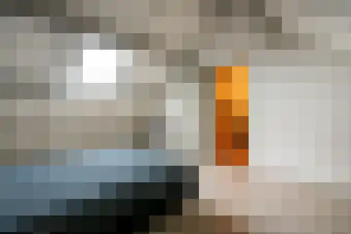 Prior Borrekensstraat 6 Huijbergen thumbnail 34