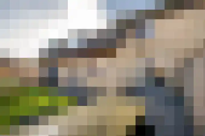 Prior Borrekensstraat 6 Huijbergen thumbnail 36