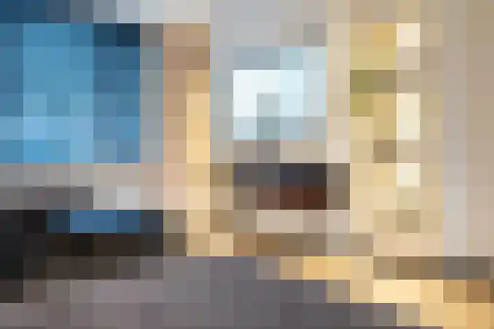 Prior Borrekensstraat 6 Huijbergen thumbnail 8