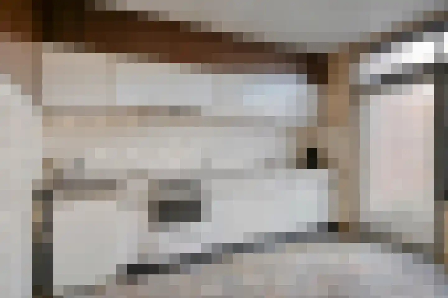 Prior Davidtsstraat 8 Gemert thumbnail 11