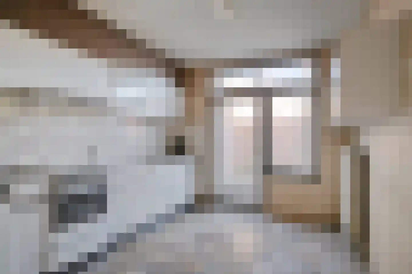 Prior Davidtsstraat 8 Gemert thumbnail 12