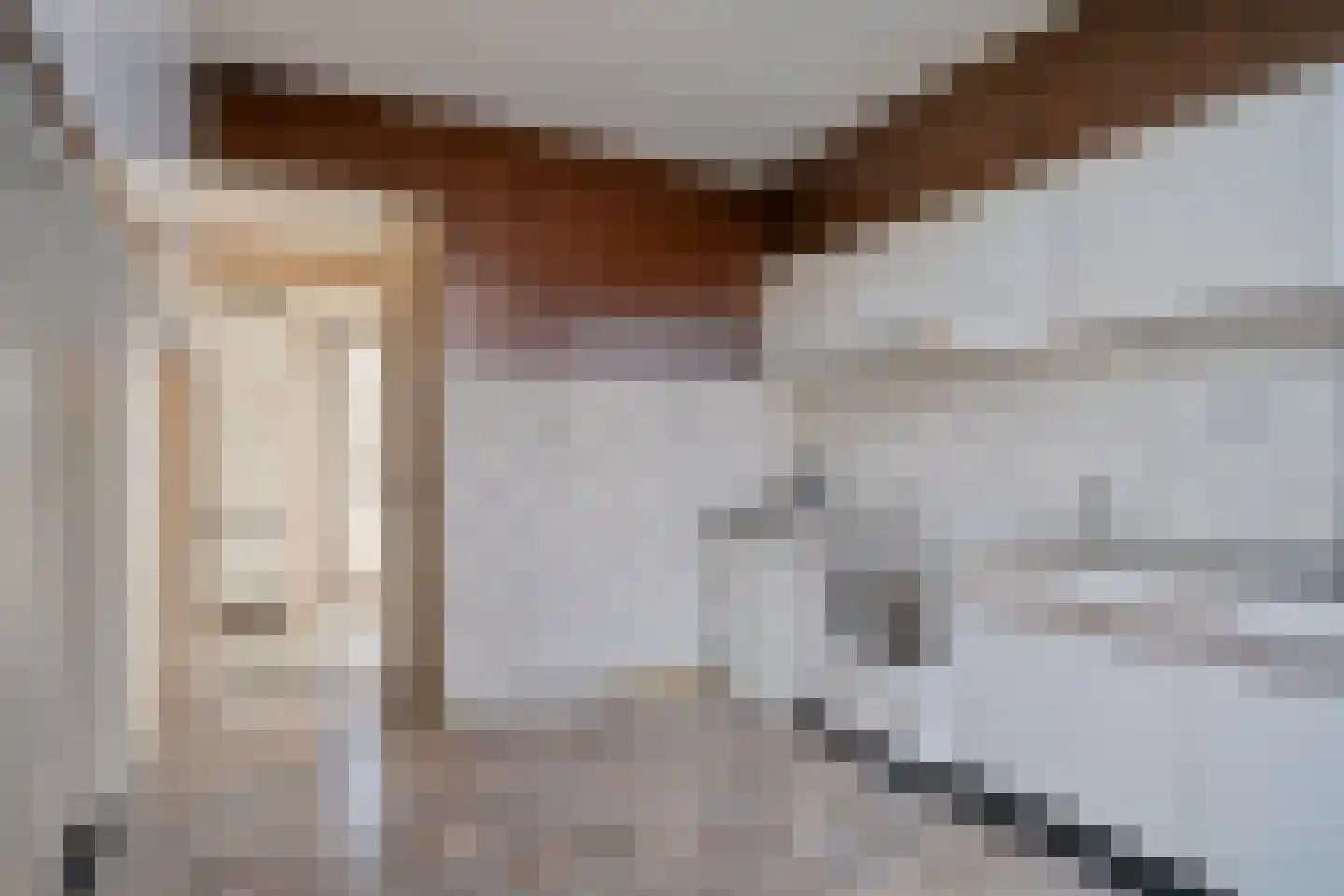 Prior Davidtsstraat 8 Gemert thumbnail 13
