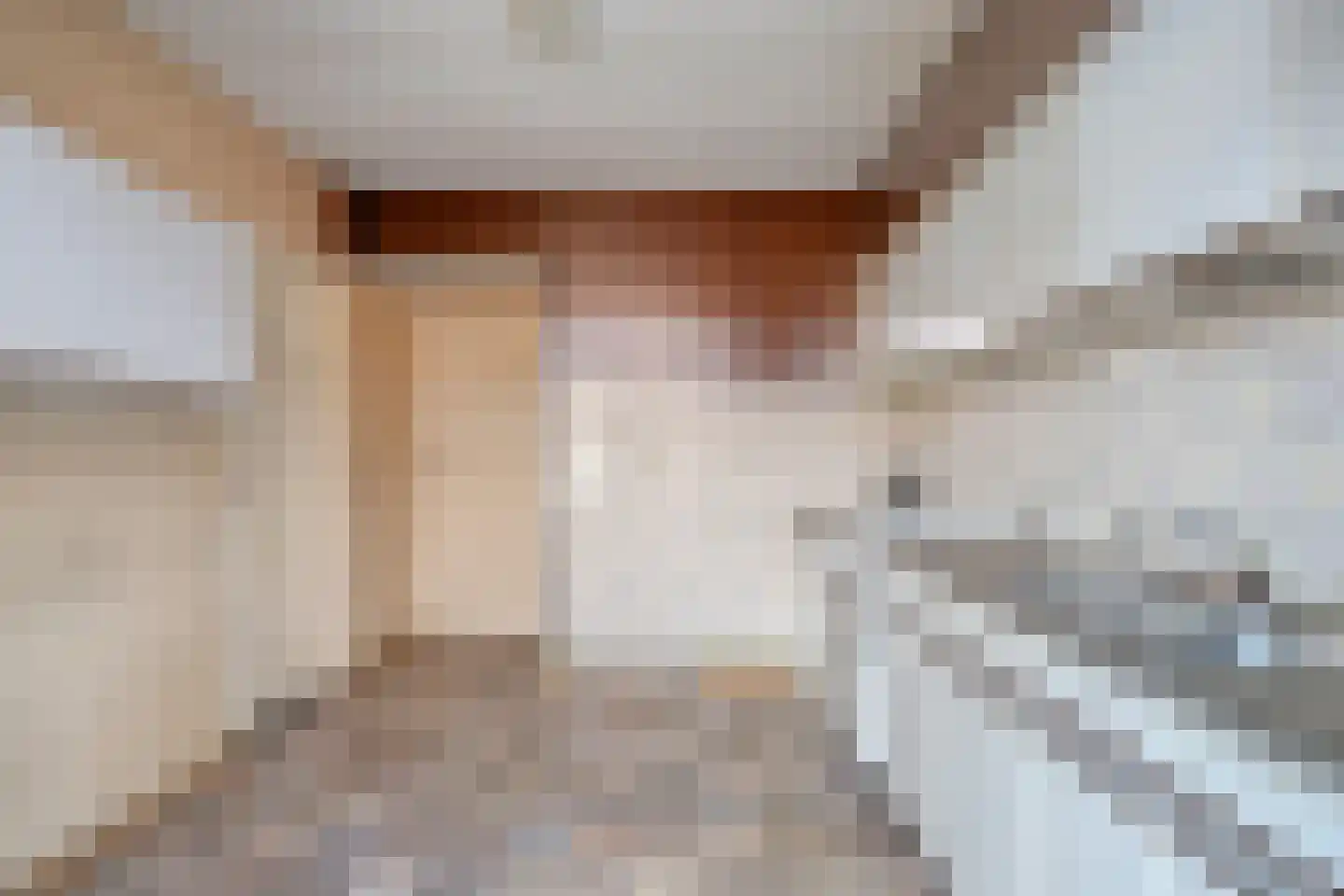 Prior Davidtsstraat 8 Gemert thumbnail 14