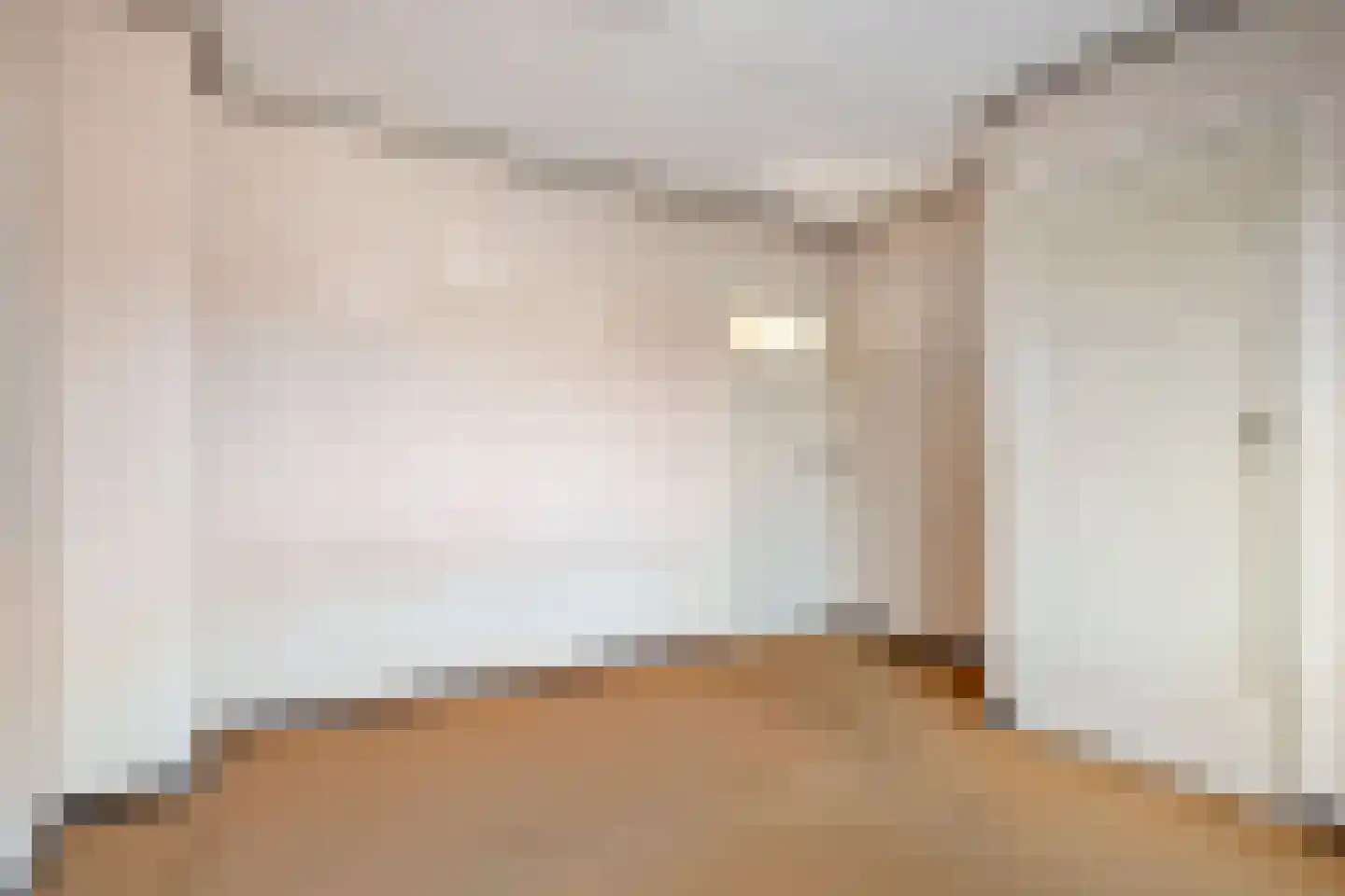 Prior Davidtsstraat 8 Gemert thumbnail 16