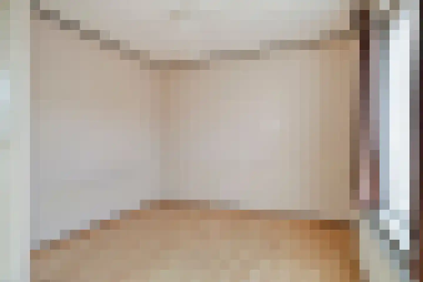 Prior Davidtsstraat 8 Gemert thumbnail 22