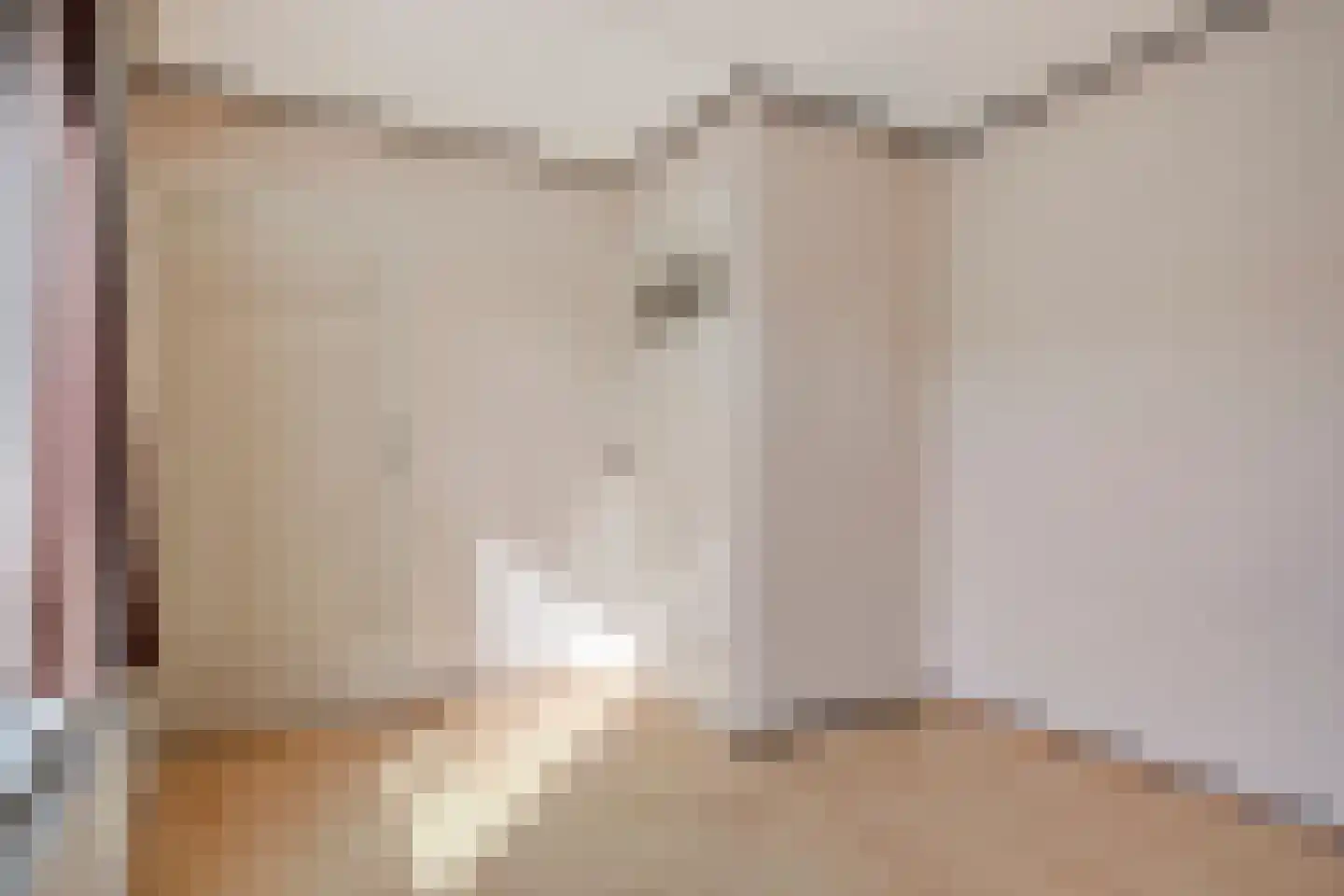 Prior Davidtsstraat 8 Gemert thumbnail 23