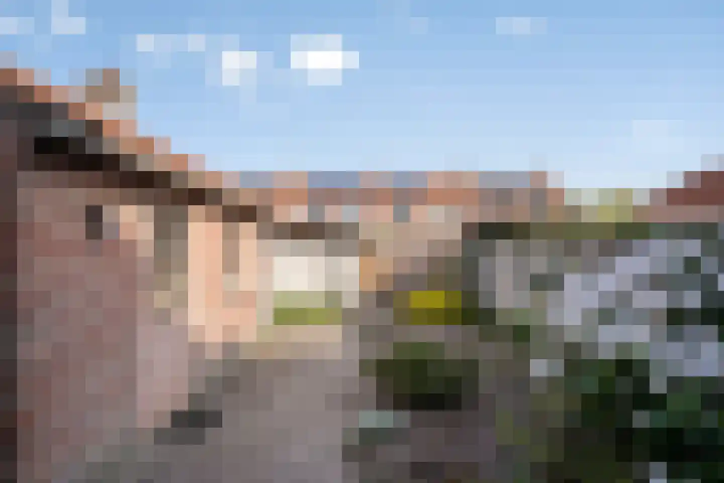 Prior Davidtsstraat 8 Gemert thumbnail 27