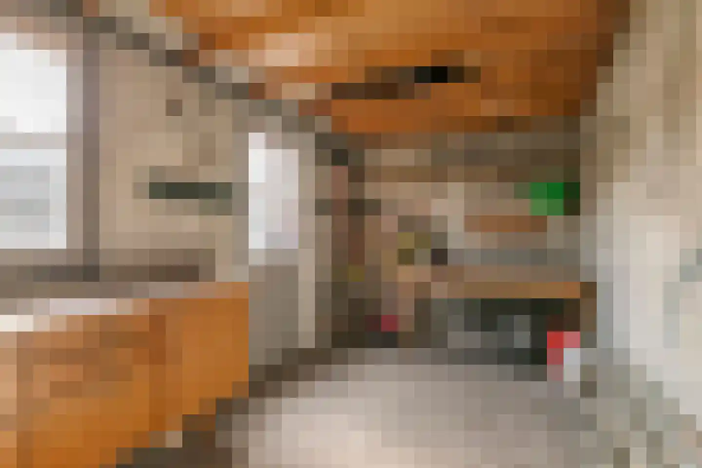 Prior Davidtsstraat 8 Gemert thumbnail 32