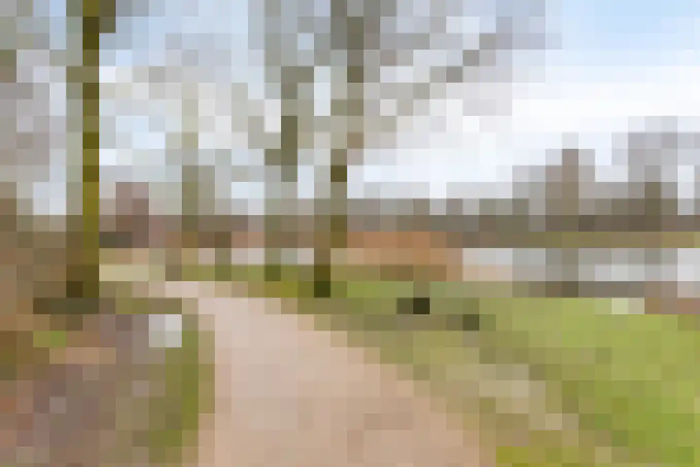 Prior Davidtsstraat 8 Gemert thumbnail 41