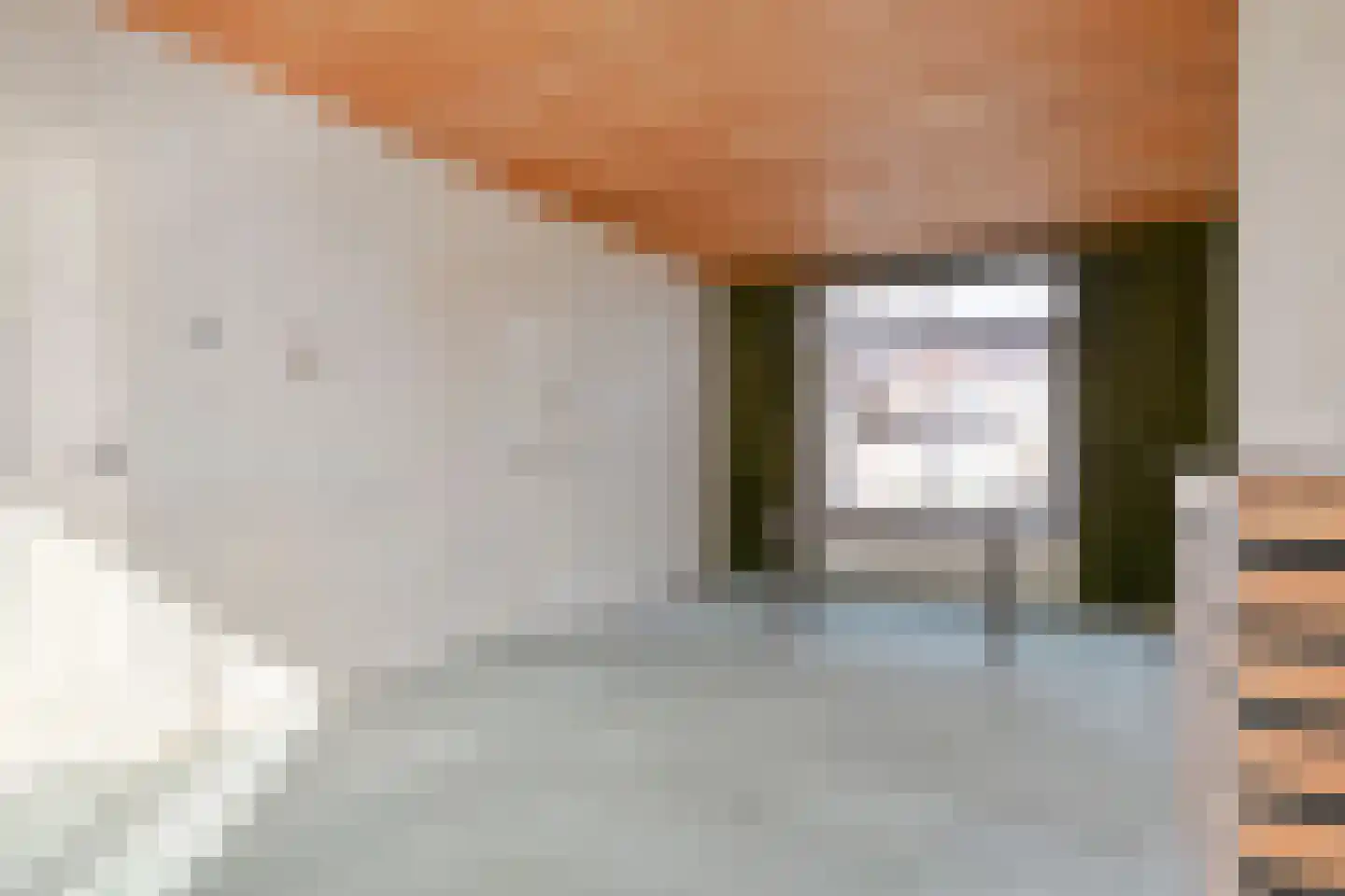 Prior Davidtsstraat 8 Gemert thumbnail 5