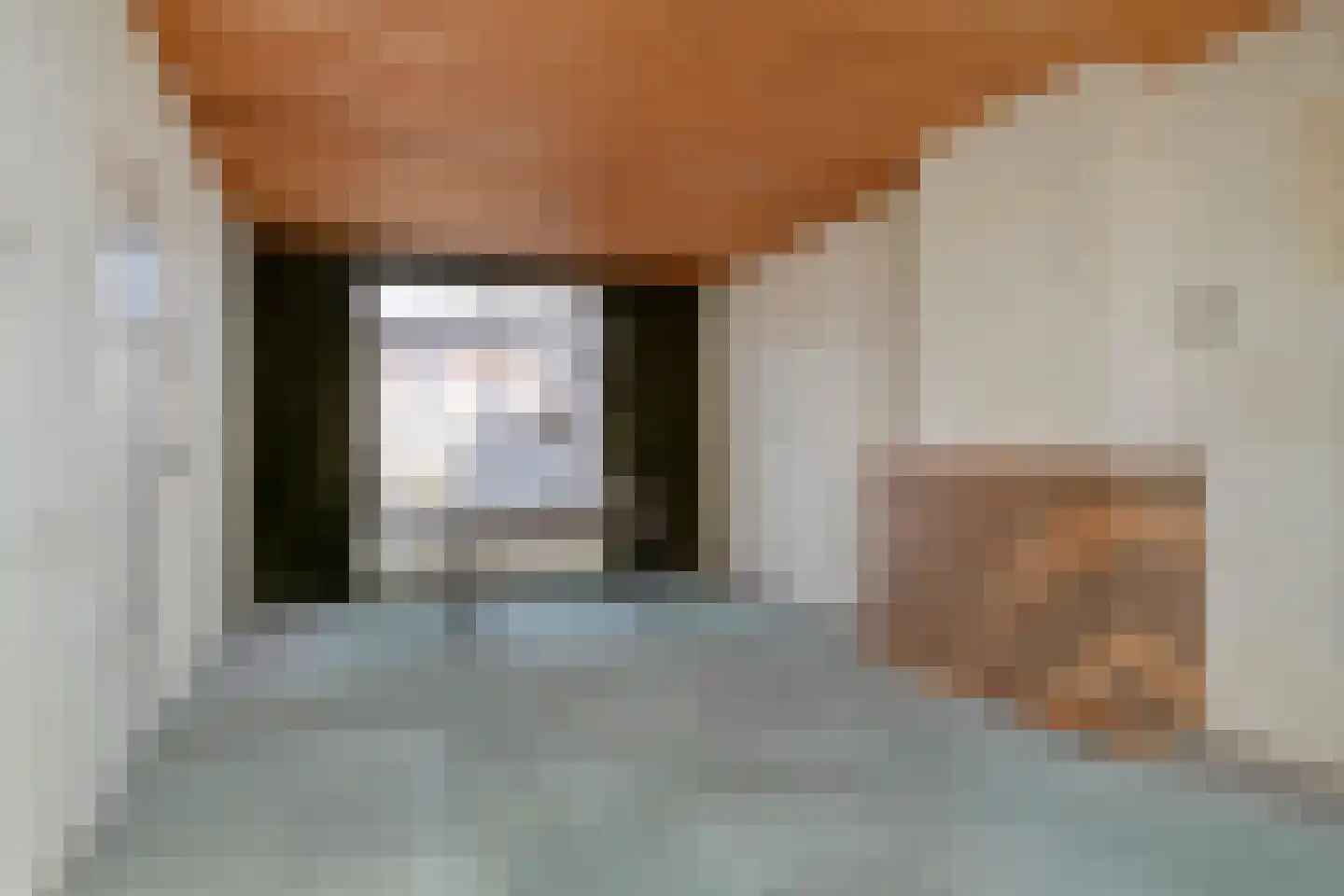Prior Davidtsstraat 8 Gemert thumbnail 6