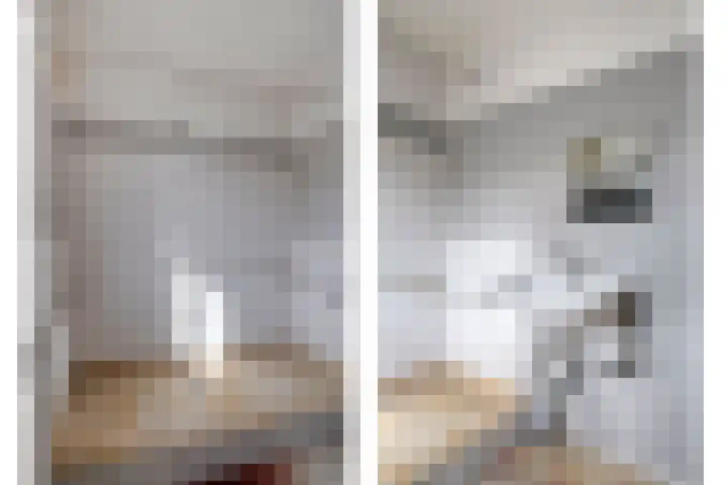 Prior Davidtsstraat 8 Gemert thumbnail 8