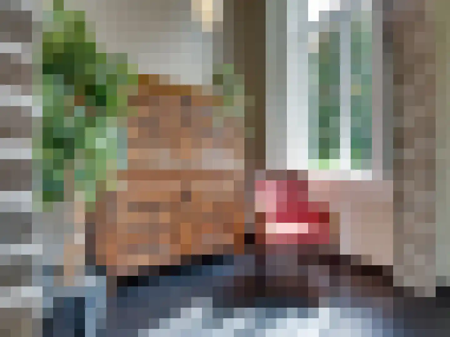 Prior van Milstraat 22 Uden thumbnail 13