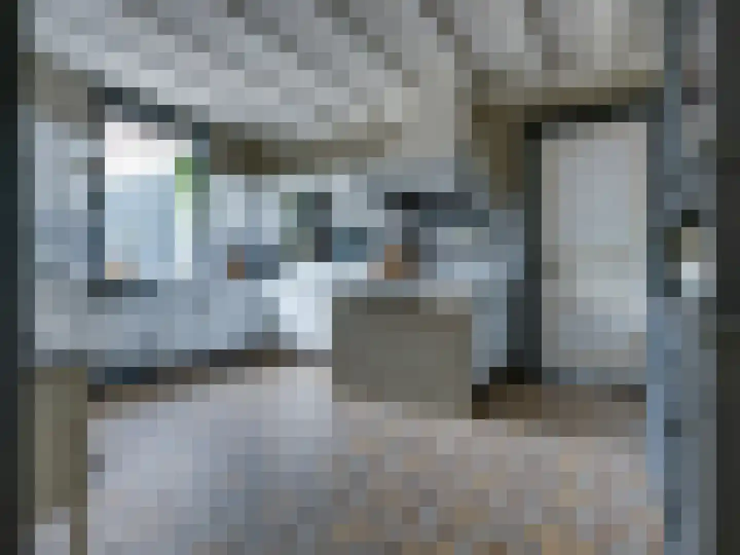 Prior van Milstraat 22 Uden thumbnail 18