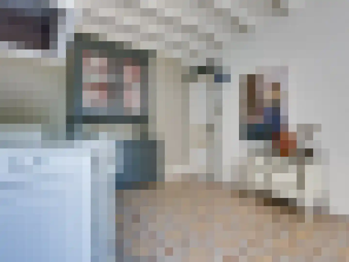 Prior van Milstraat 22 Uden thumbnail 19