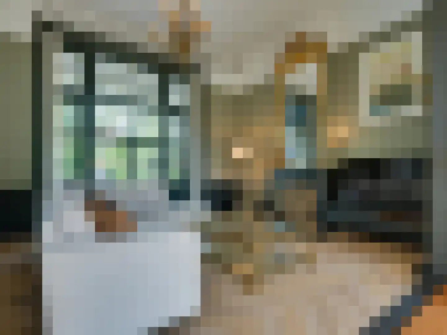 Prior van Milstraat 22 Uden thumbnail 23