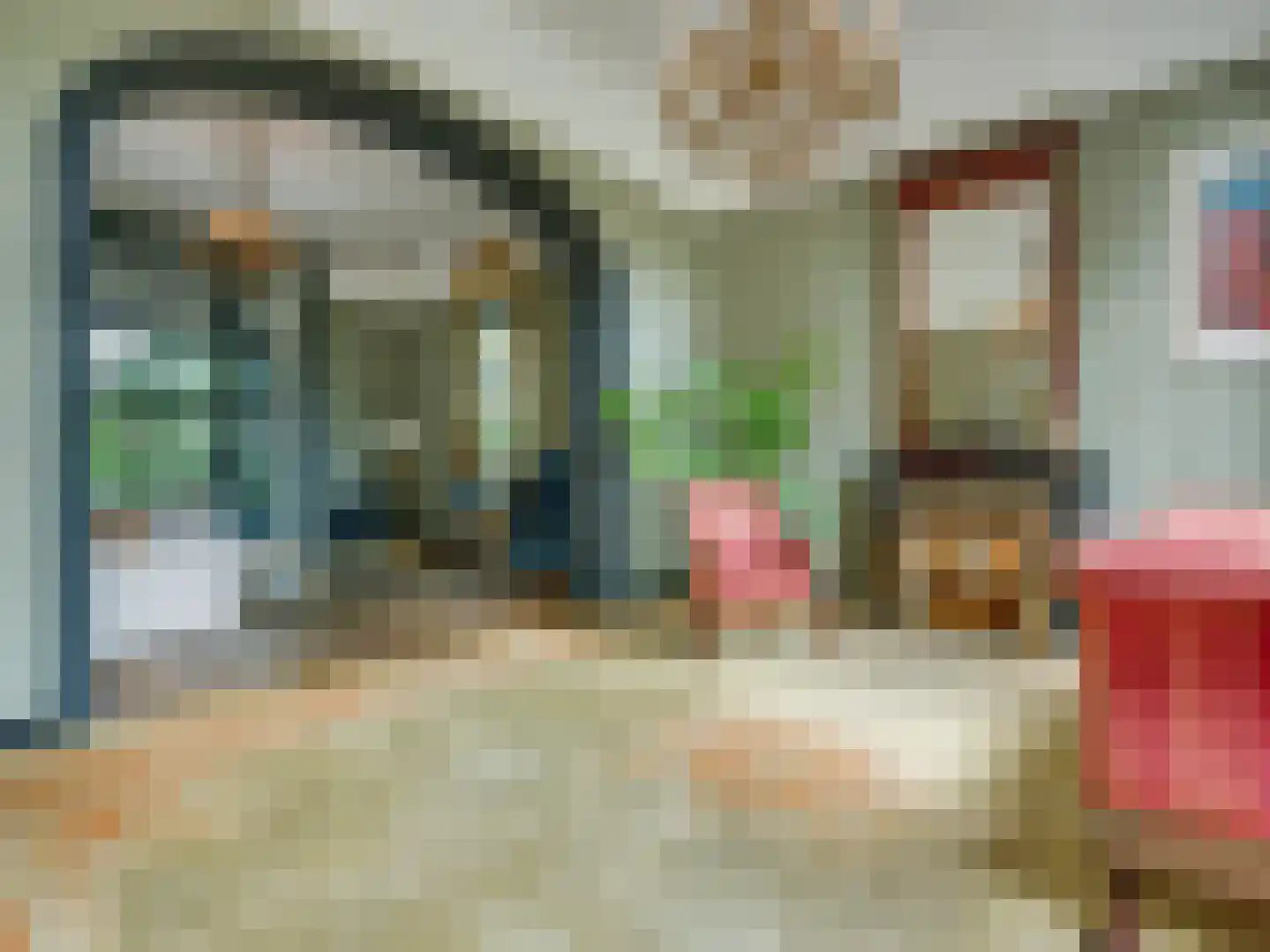 Prior van Milstraat 22 Uden thumbnail 26