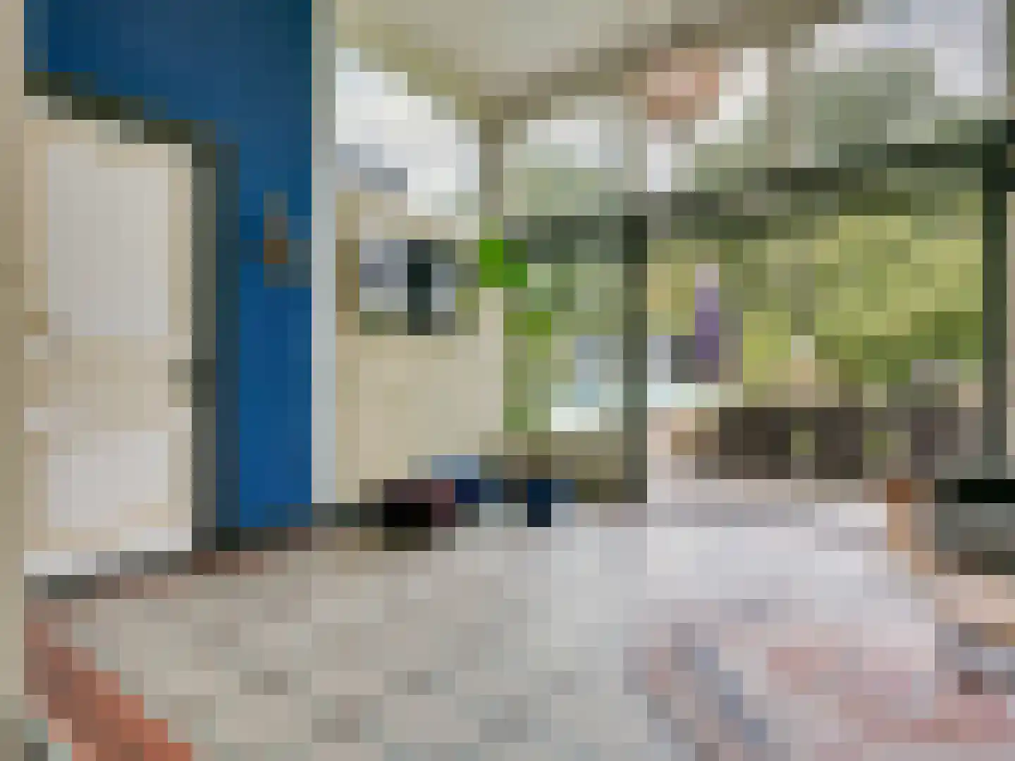 Prior van Milstraat 22 Uden thumbnail 30
