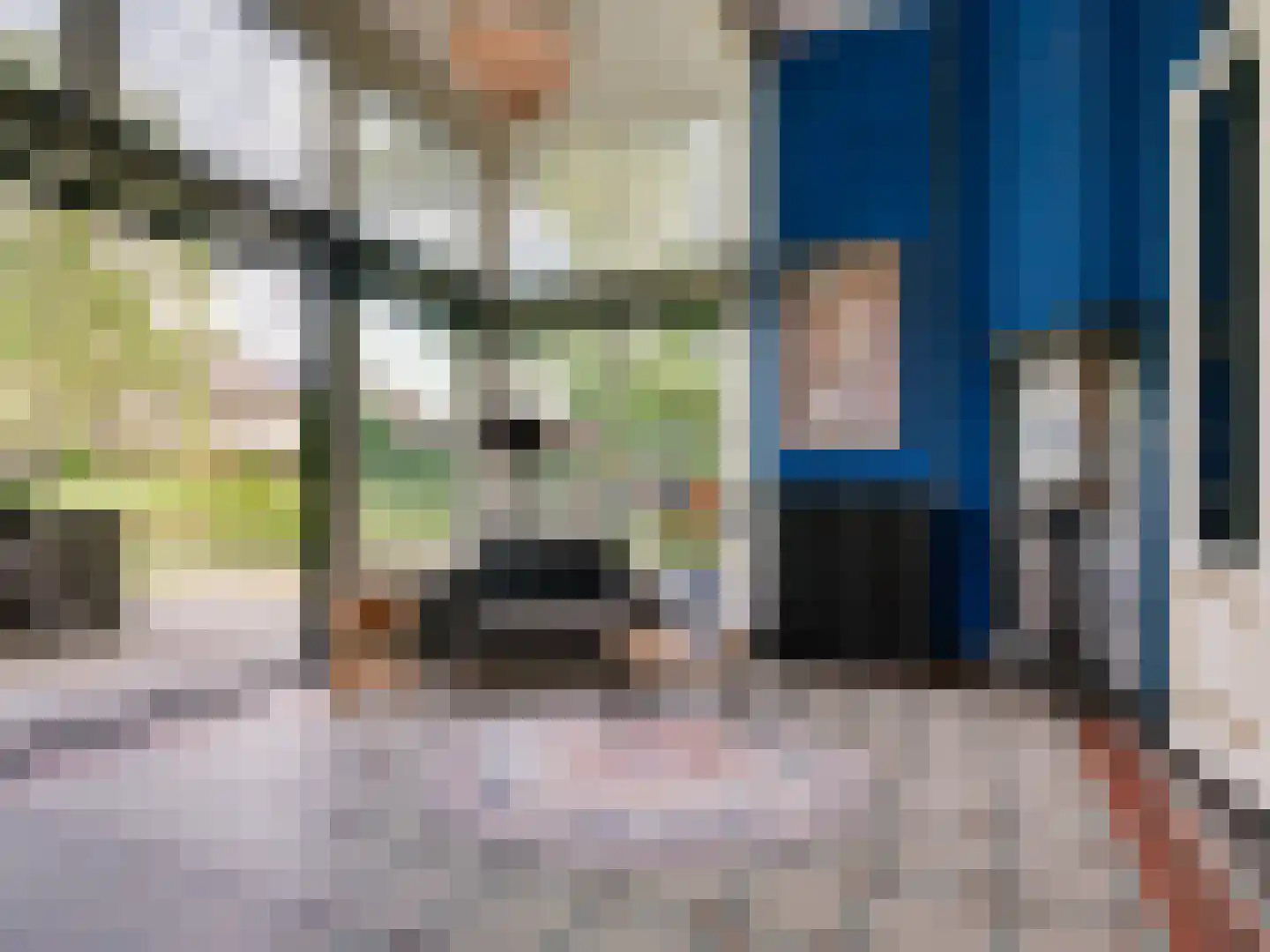 Prior van Milstraat 22 Uden thumbnail 31