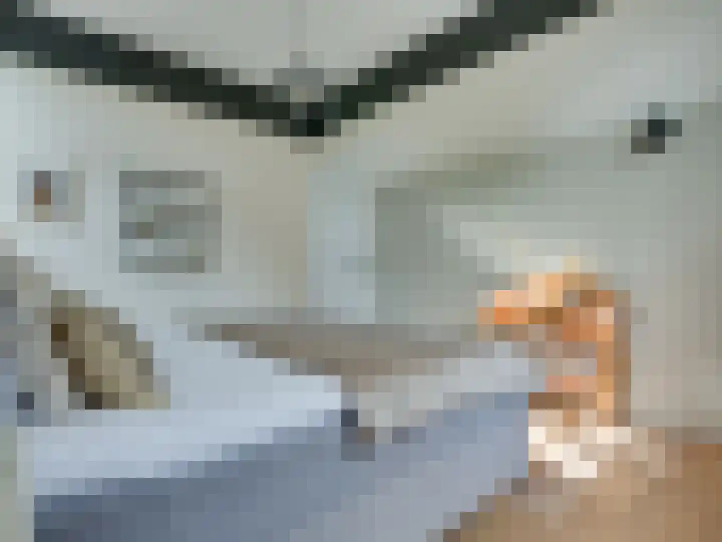 Prior van Milstraat 22 Uden thumbnail 38