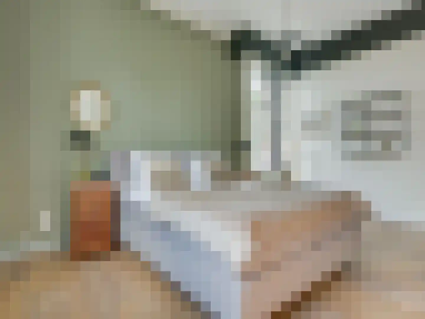 Prior van Milstraat 22 Uden thumbnail 39