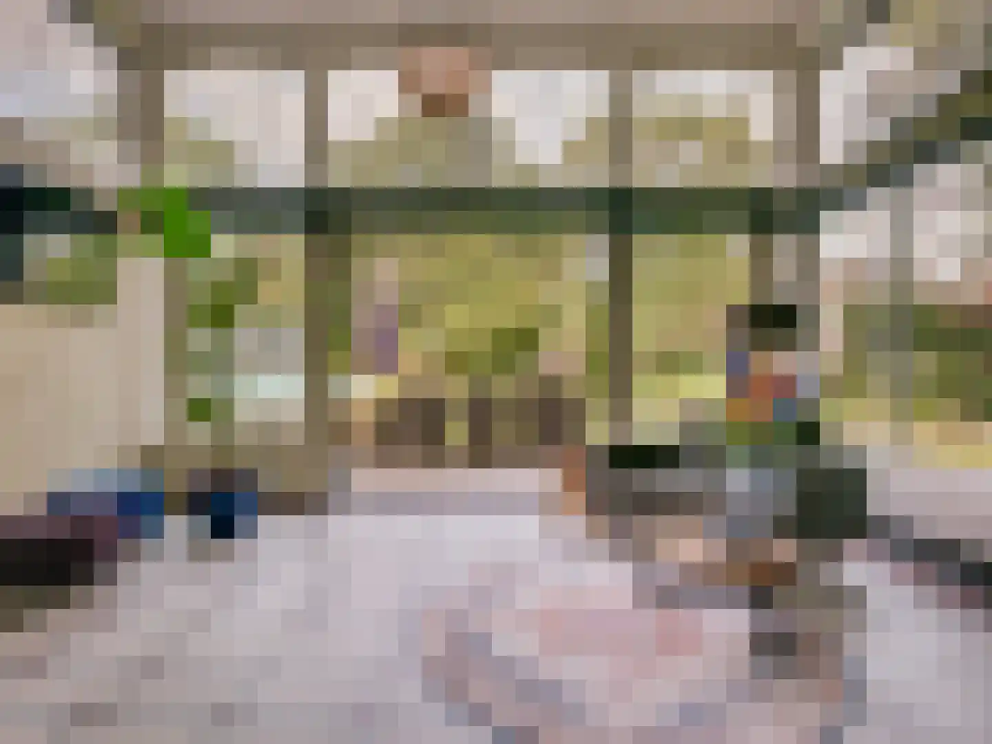 Prior van Milstraat 22 Uden thumbnail 4