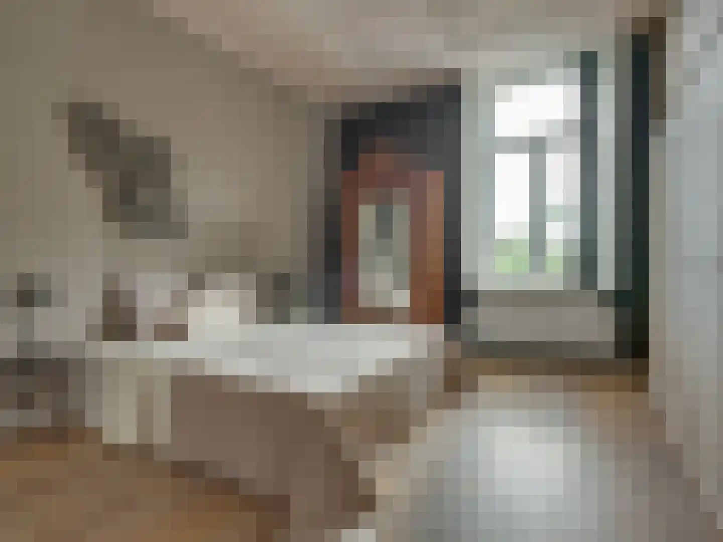 Prior van Milstraat 22 Uden thumbnail 40