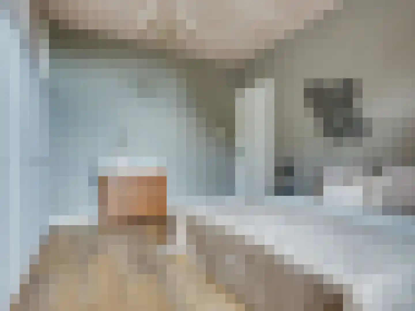 Prior van Milstraat 22 Uden thumbnail 41