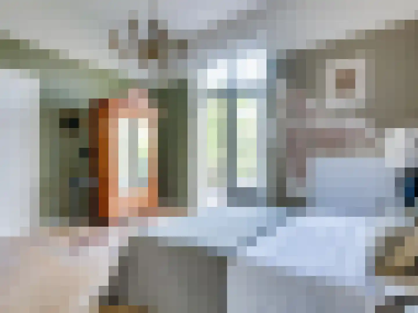 Prior van Milstraat 22 Uden thumbnail 45