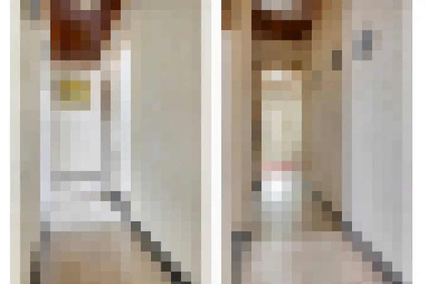 Prior van Milstraat 26 Uden thumbnail 21