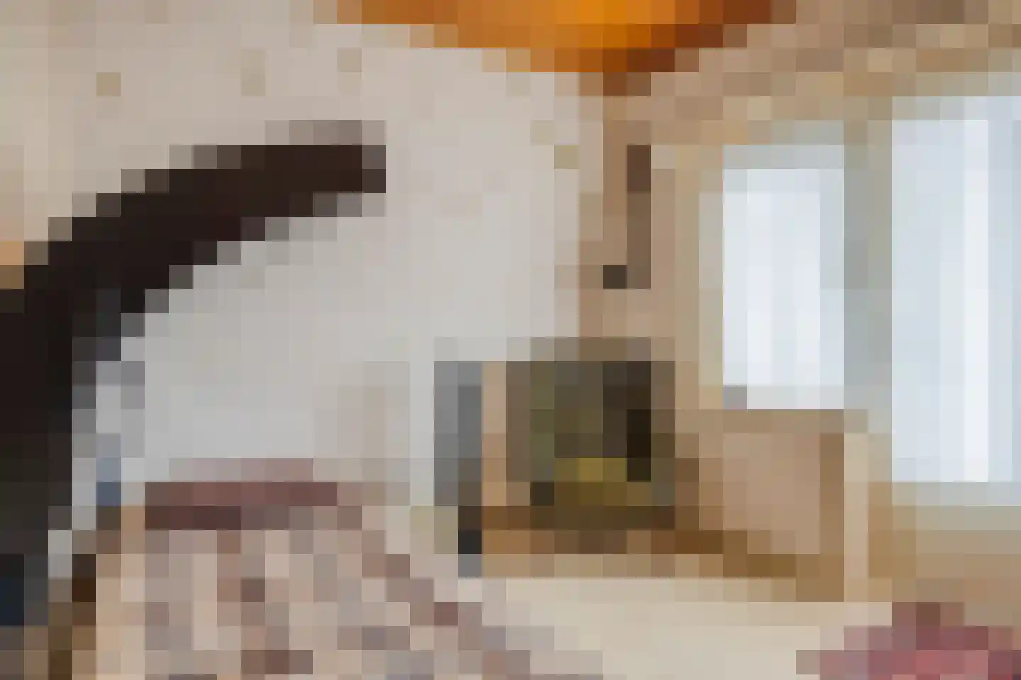 Prior van Milstraat 26 Uden thumbnail 32