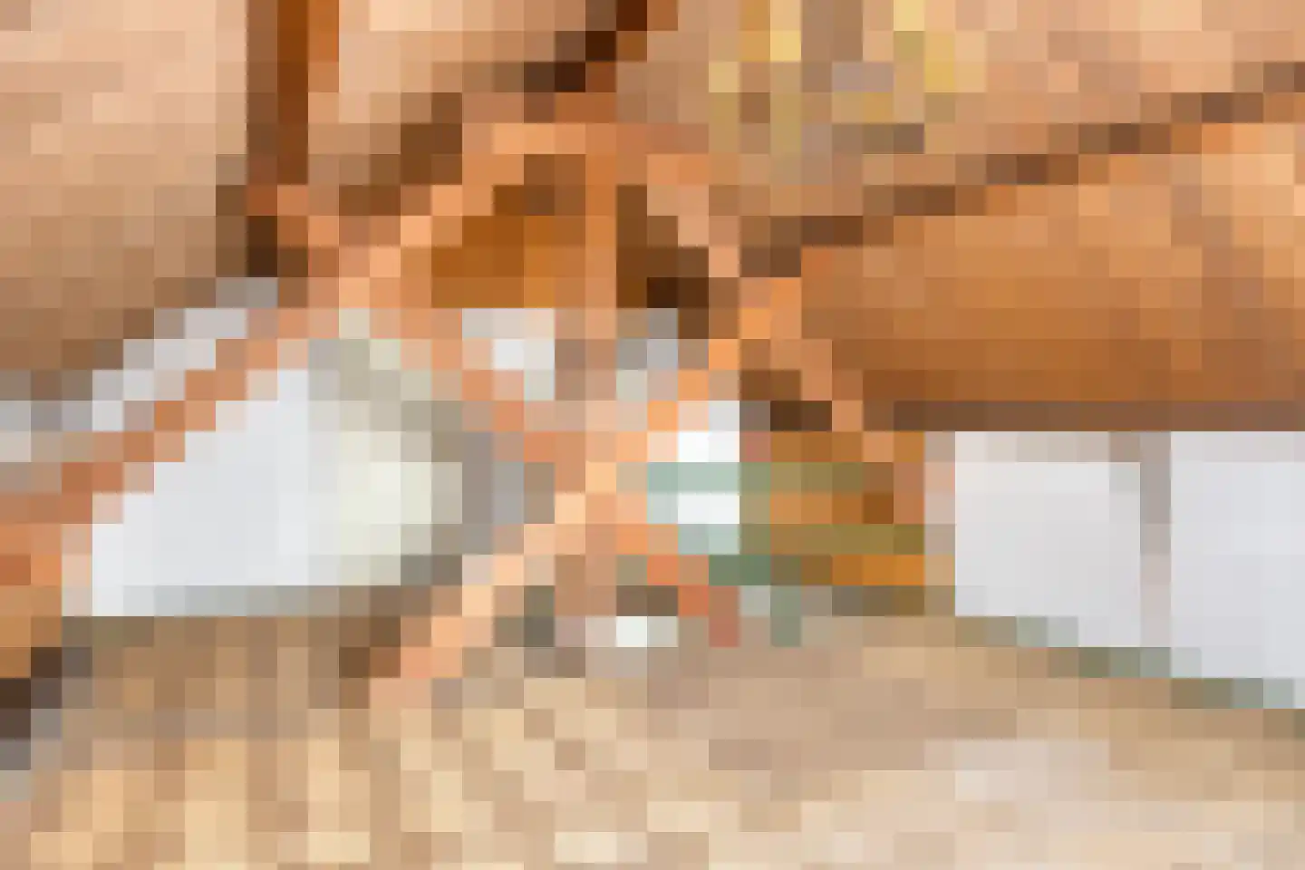 Prior van Milstraat 26 Uden thumbnail 33