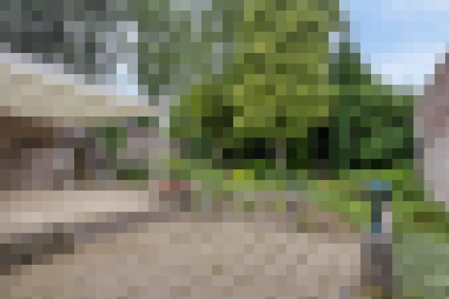 Prior van Milstraat 26 Uden thumbnail 38