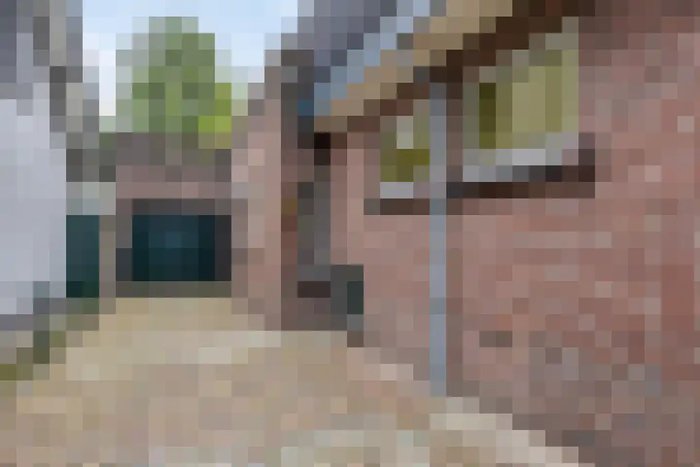 Prior van Milstraat 26 Uden thumbnail 4