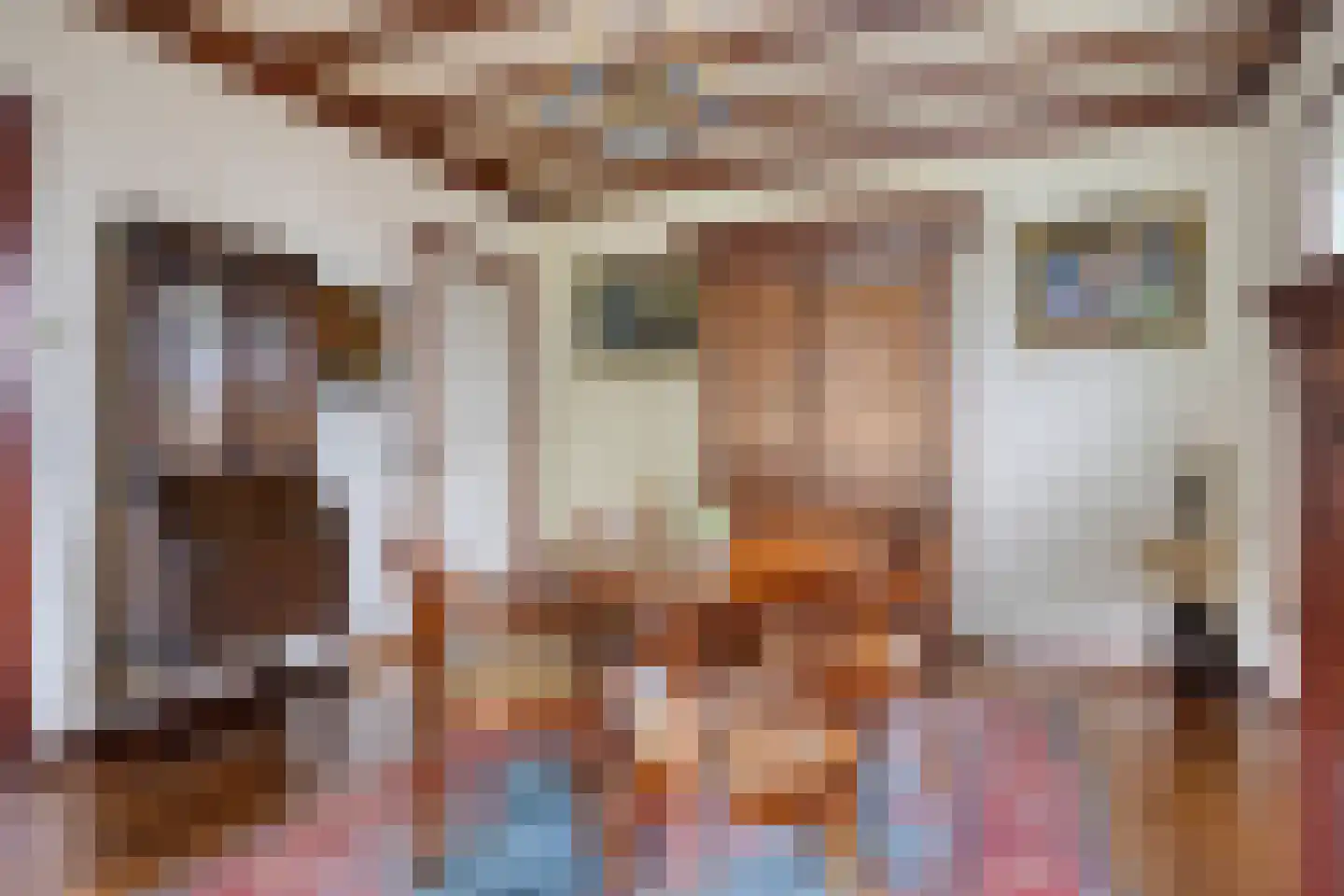Prior van Milstraat 26 Uden thumbnail 6