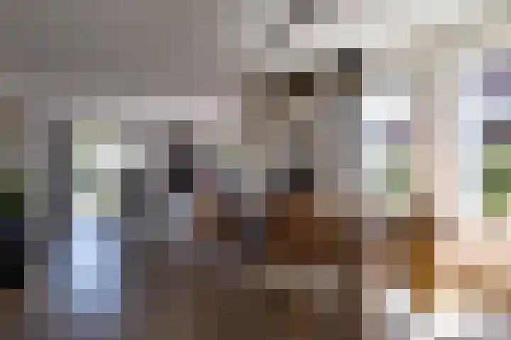 Priorij 7 Winschoten thumbnail 17