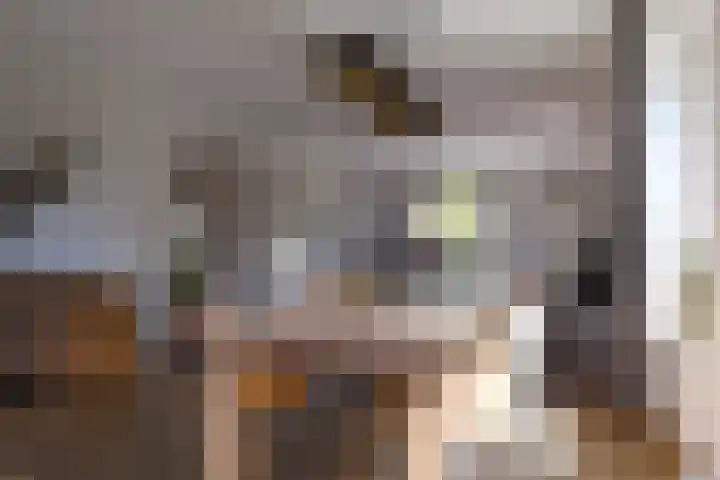 Priorij 7 Winschoten thumbnail 18