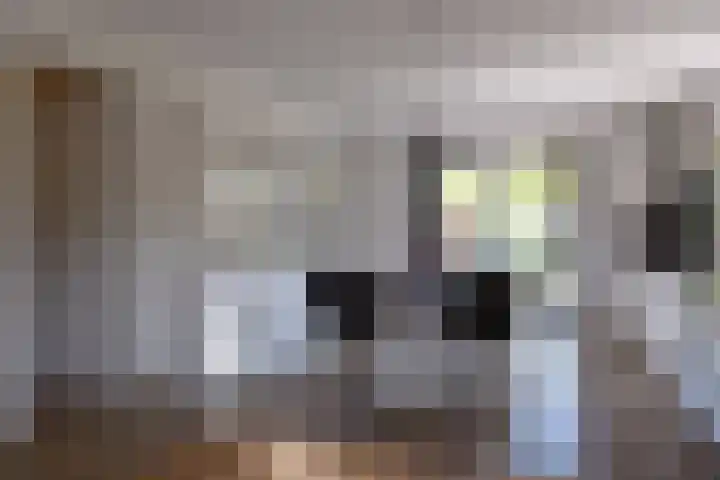 Priorij 7 Winschoten thumbnail 19