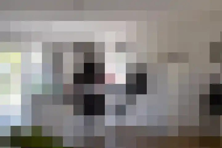 Priorij 7 Winschoten thumbnail 20