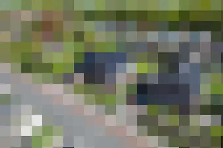 Priorij 7 Winschoten thumbnail 4