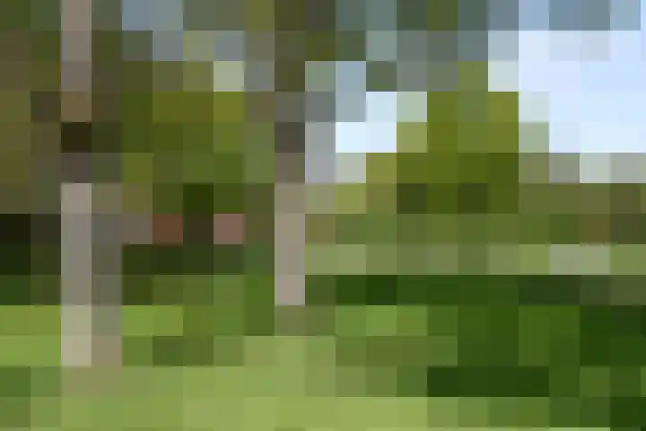 Priorij 7 Winschoten thumbnail 51