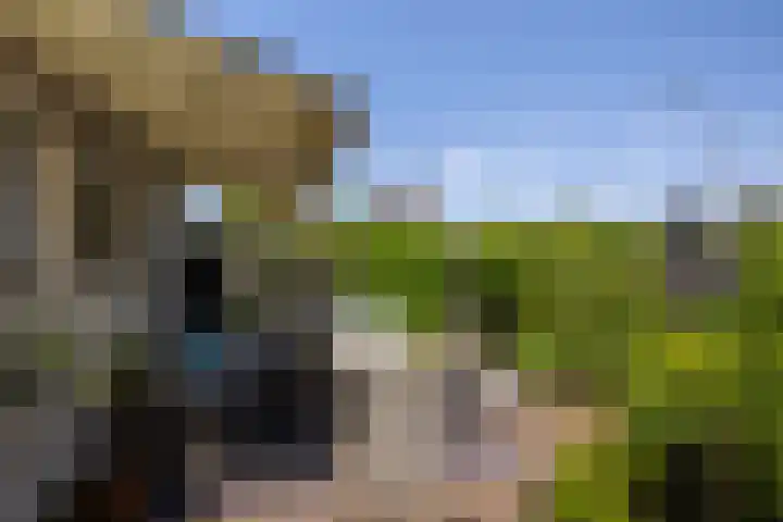 Priorindreef 18 Willemstad thumbnail 31