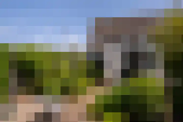 Priorindreef 18 Willemstad thumbnail 32