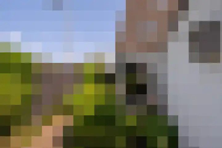 Priorindreef 18 Willemstad thumbnail 33
