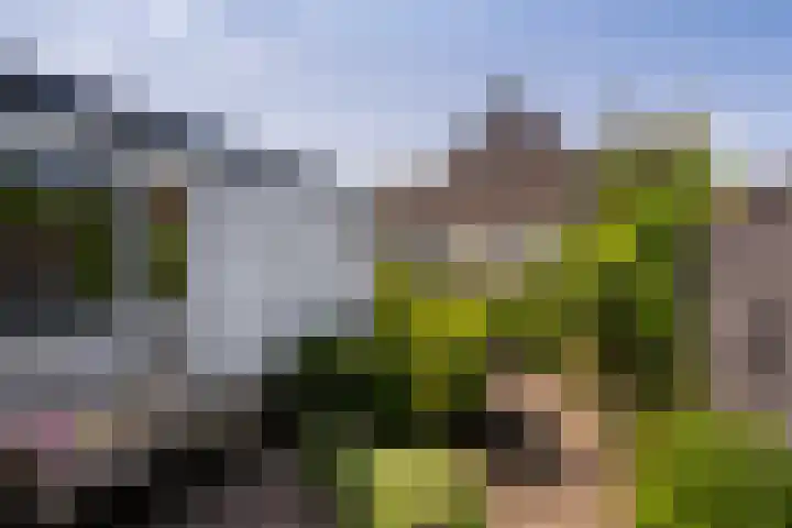 Priorindreef 18 Willemstad thumbnail 34