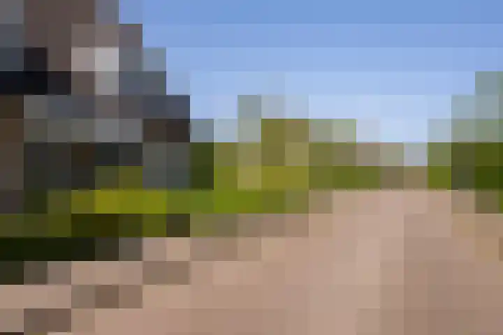 Priorindreef 18 Willemstad thumbnail 36