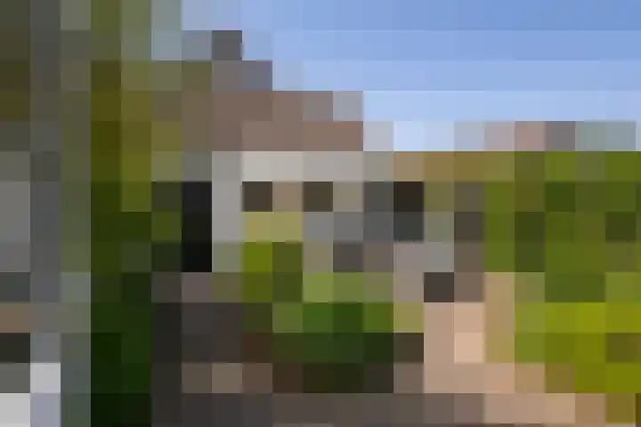 Priorindreef 18 Willemstad thumbnail 4