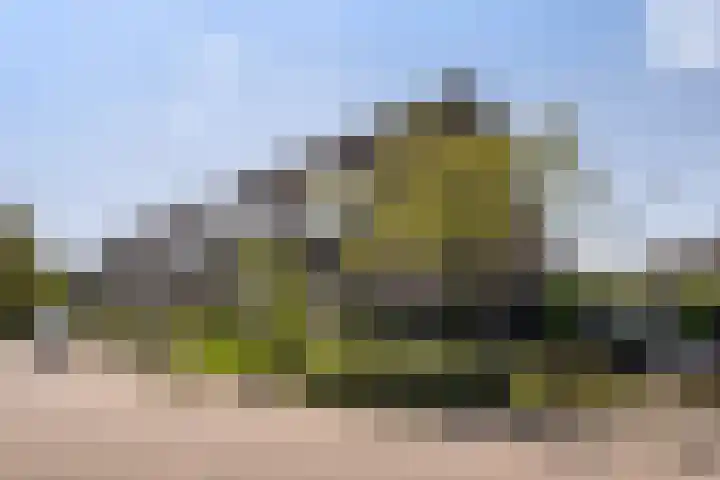 Priorindreef 18 Willemstad thumbnail 6