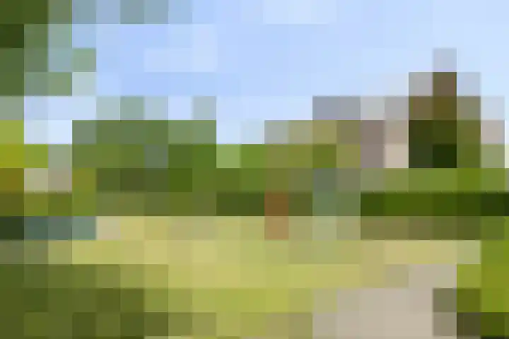 Priorindreef 24 Willemstad thumbnail 26